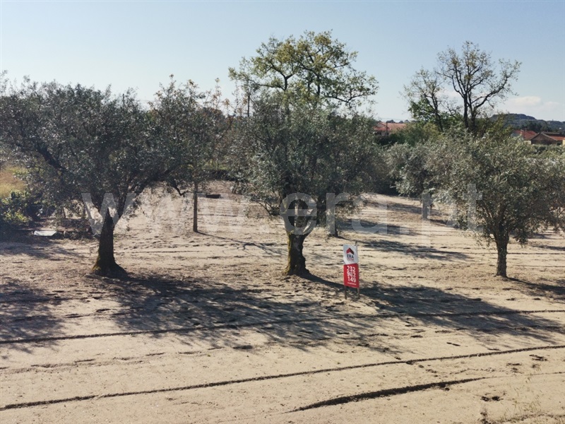 Terreno para Construção  Sátão, Sátão - 1246697 - 8