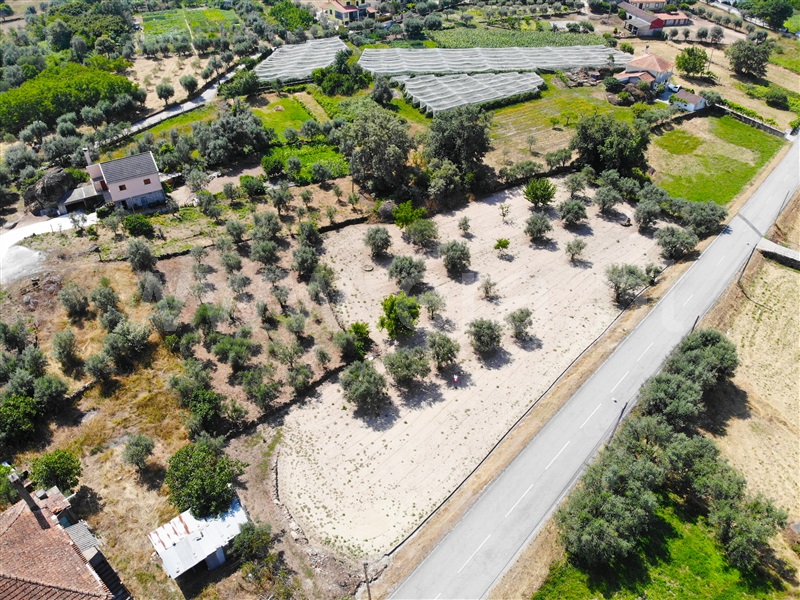 Terreno para Construção  Sátão, Decermilo, Romãs e Vila Longa - 1246697 - 11
