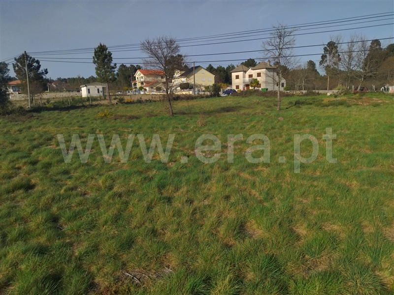 Terreno para Construção  Sátão, Decermilo - 1319052 - 4