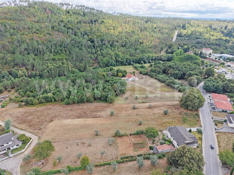 Terreno para Construção  Sátão, Mioma - 1504913 - 6