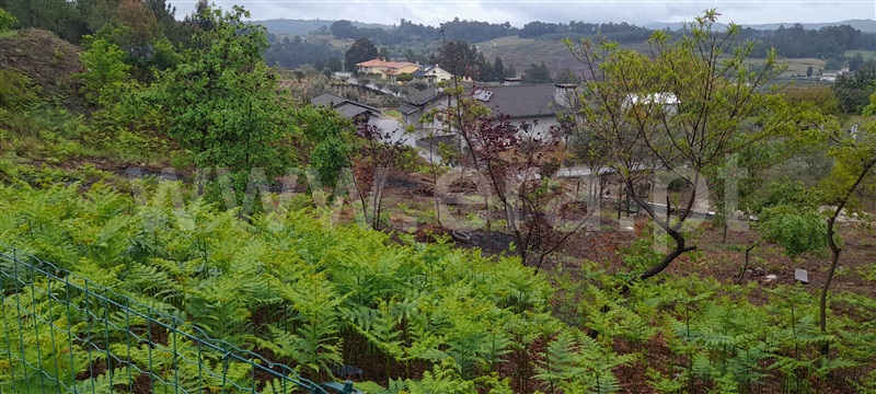 Apartamento  Sátão, Rio de Moinhos - 1244950 - 3