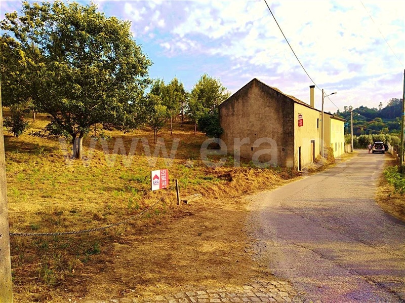 Terreno para Construção / Sátão, Sátão