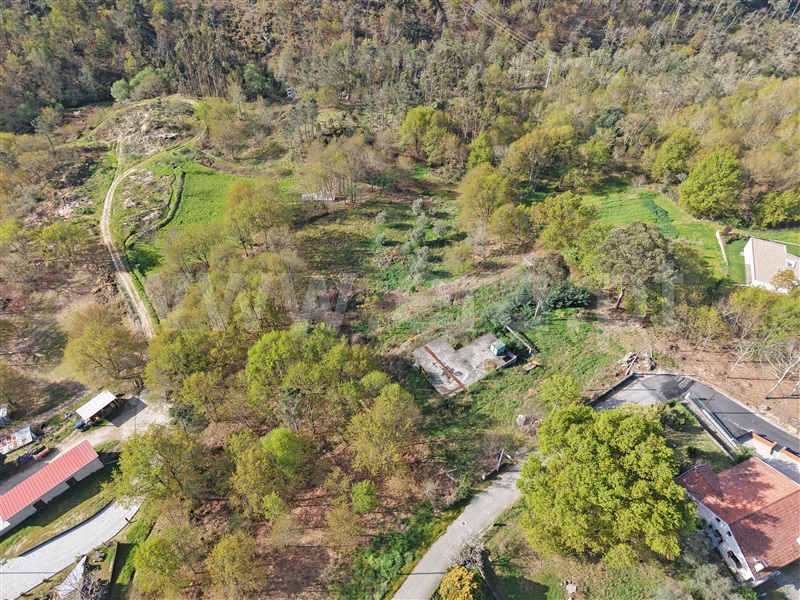 Terreno para Construção / Sátão, Sátão