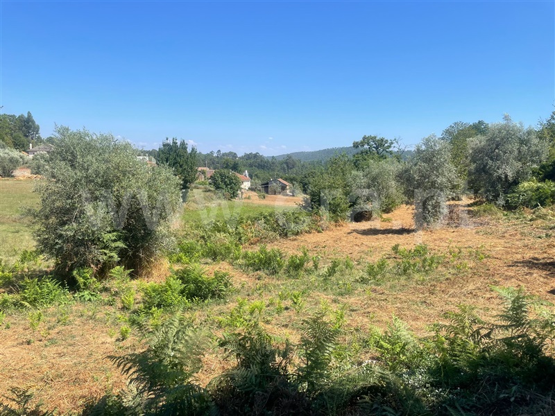 Terreno para Construção  Sátão - 1425731 - 1