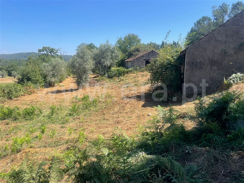 Terreno para Construção  Sátão - 1425731 - 2