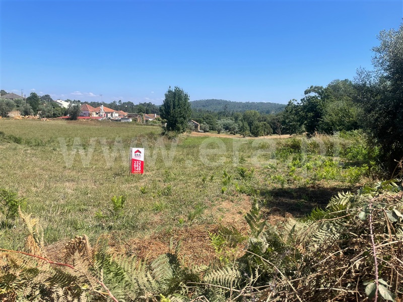 Terreno para Construção / Sátão, Sátão