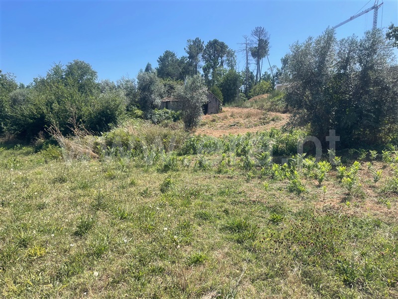 Terreno para Construção  Sátão - 1425731 - 4