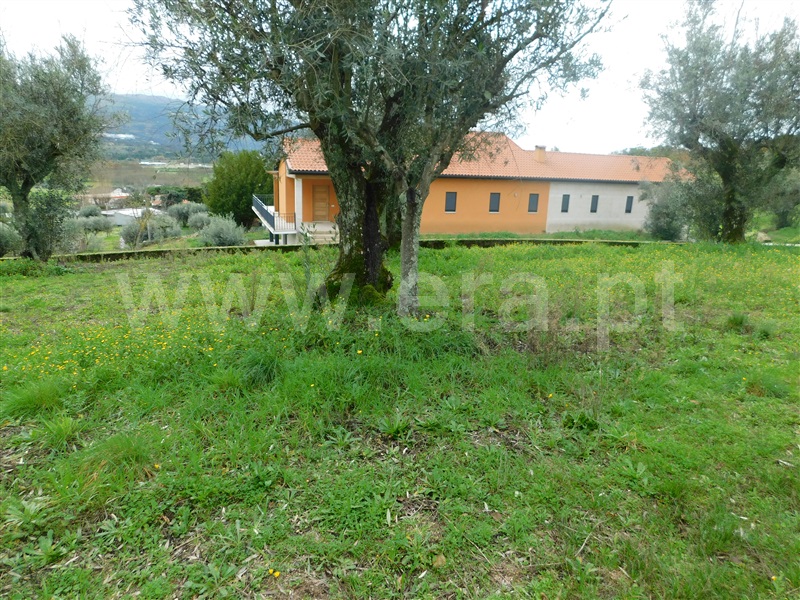 Terreno para Construção  Seia, Pinhanços - 1294827 - 4