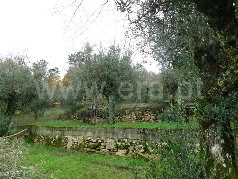 Terreno para Construção  Seia, Pinhanços - 1294827 - 5