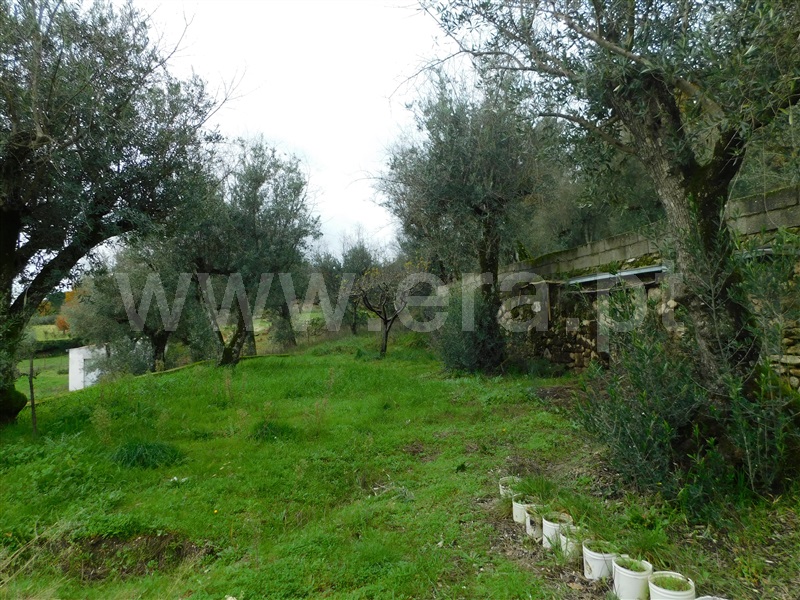 Terreno para Construção  Seia, Pinhanços - 1294827 - 10