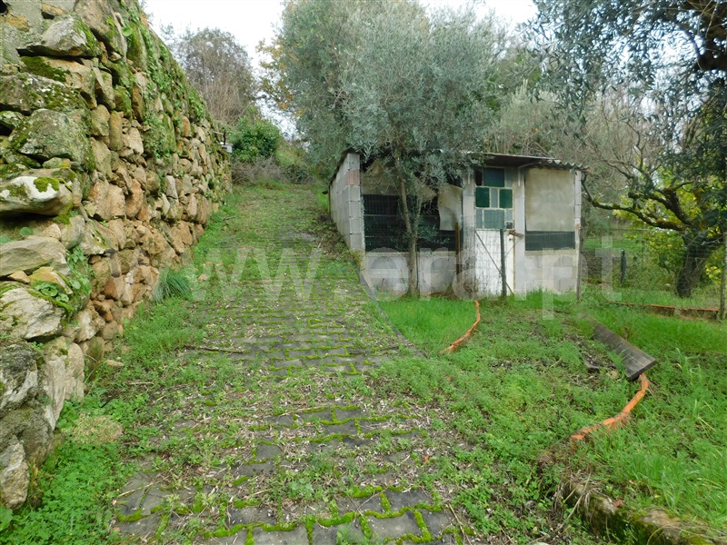 Terreno para Construção  Seia, Pinhanços - 1294827 - 13