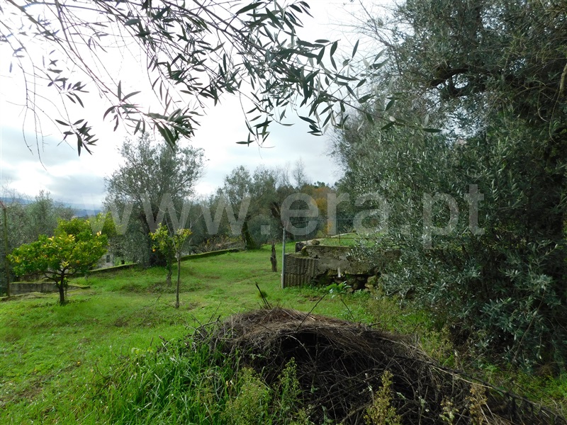 Terreno para Construção  Seia, Pinhanços - 1294827 - 14