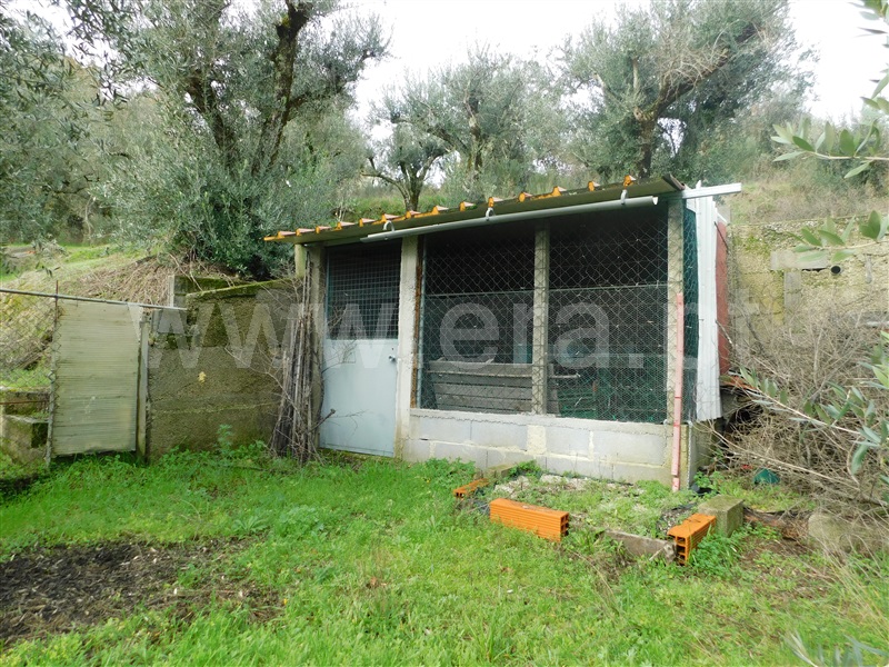 Terreno para Construção  Seia, Pinhanços - 1294827 - 16