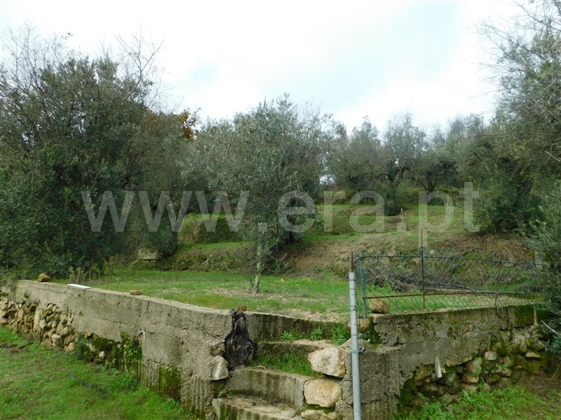 Terreno para Construção  Seia, Pinhanços - 1294827 - 17