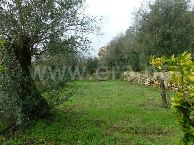 Terreno para Construção  Seia, Pinhanços - 1294827 - 18
