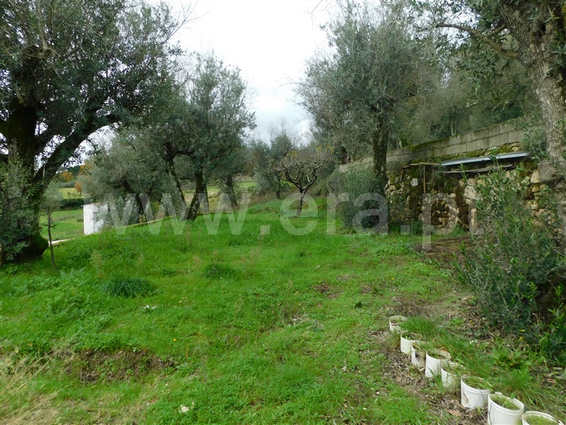Terreno para Construção  Seia, Pinhanços - 1294827 - 20