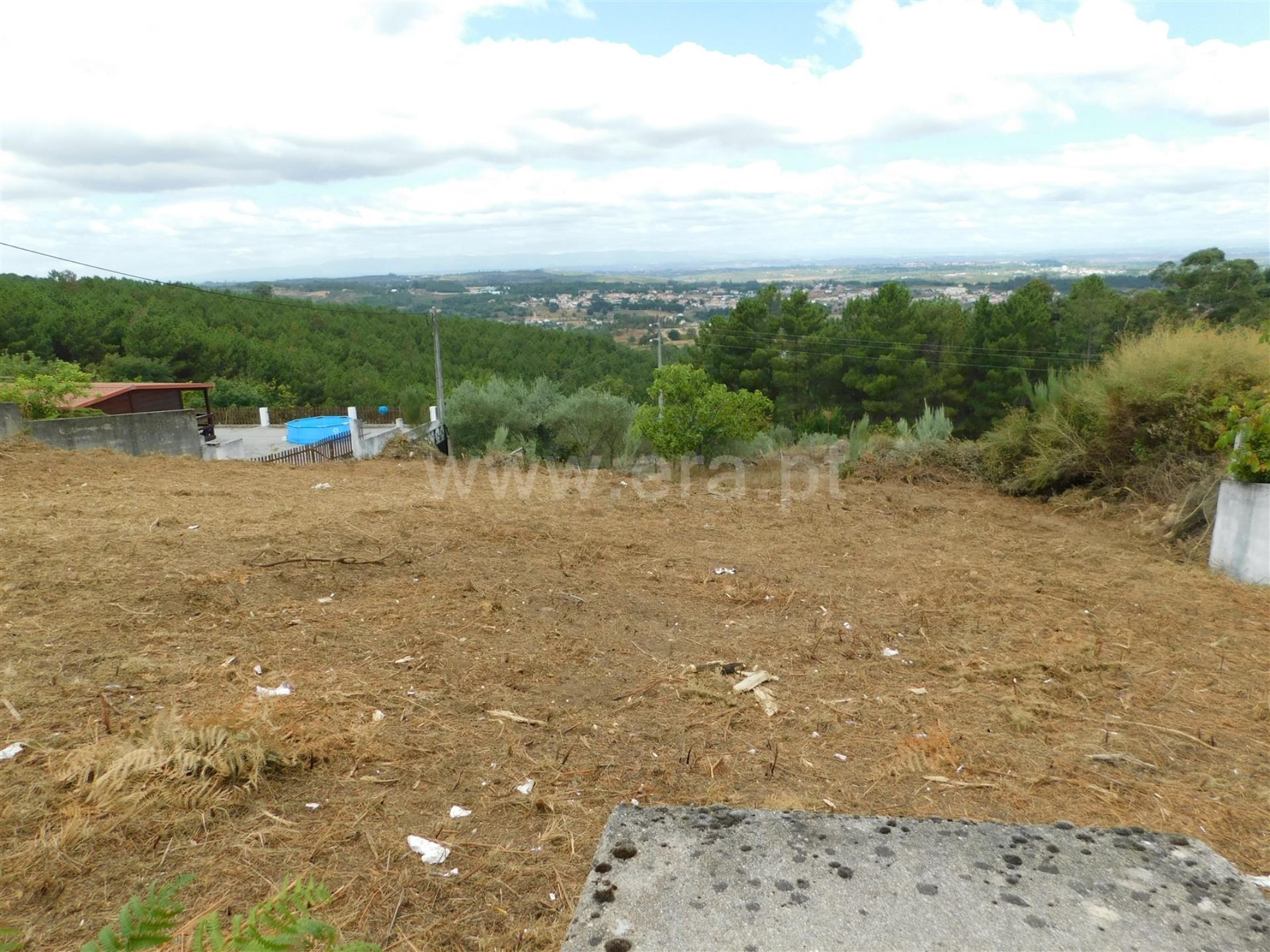 Terreno