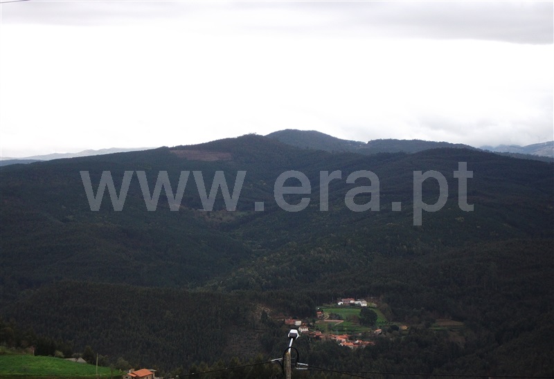 Terreno para Construção  Sever do Vouga, Talhadas - 1342216 - 5
