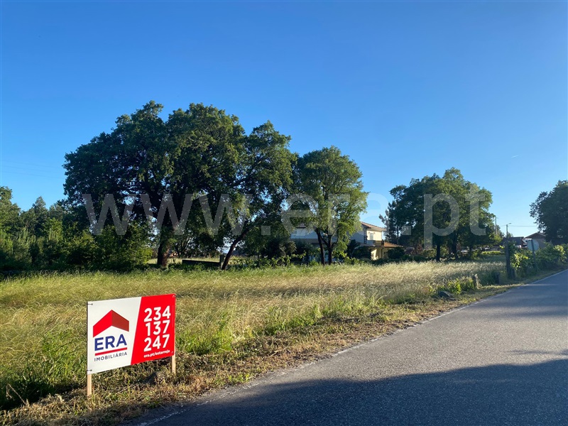 Terreno para Construção / Sever do Vouga, Talhadas