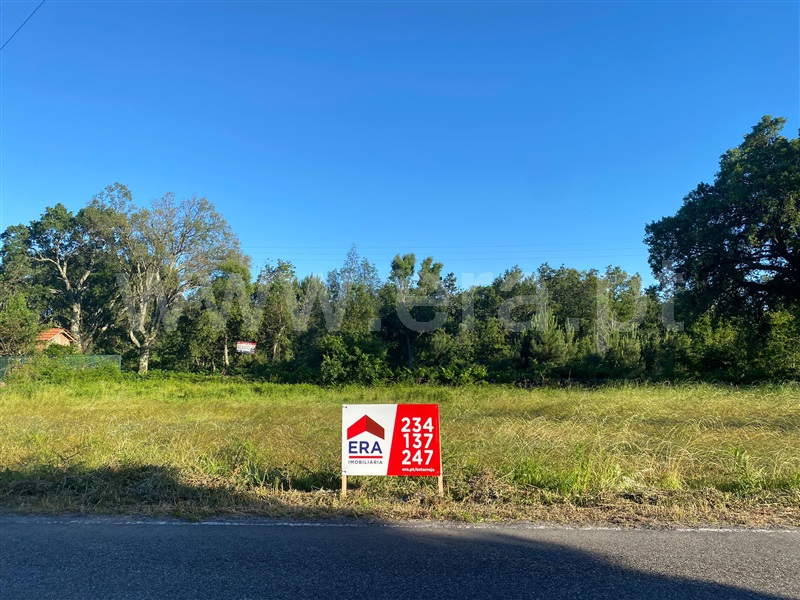 Terreno para Construção / Sever do Vouga, Talhadas