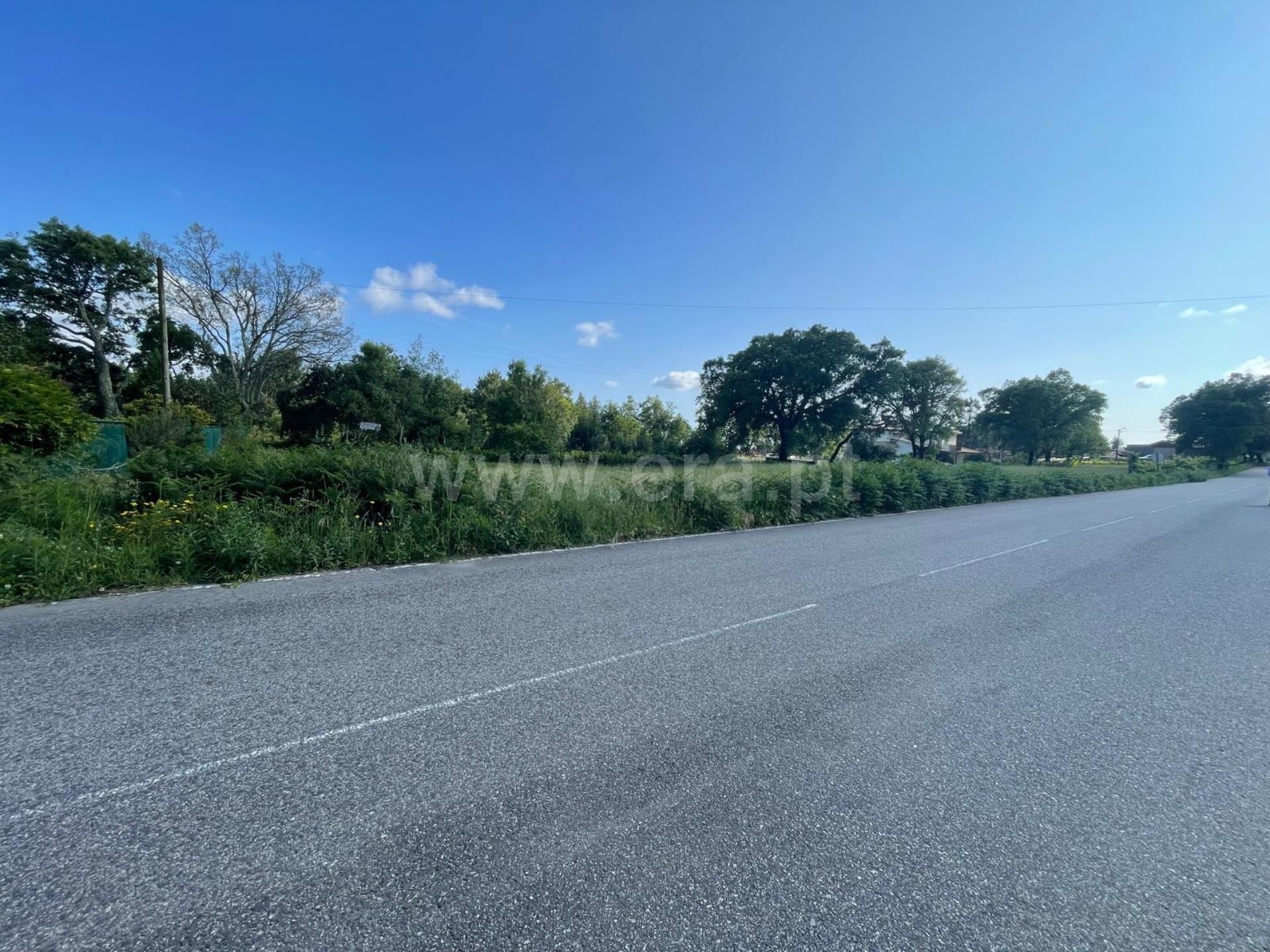 Land for sale in Sever do Vouga, Portugal — €90,000