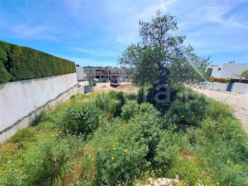 Terreno para Construção  Silves, Alcantarilha e Pêra - 1312280 - 5