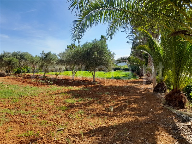 Terreno para Construção / Silves, Alcantarilha e Pêra