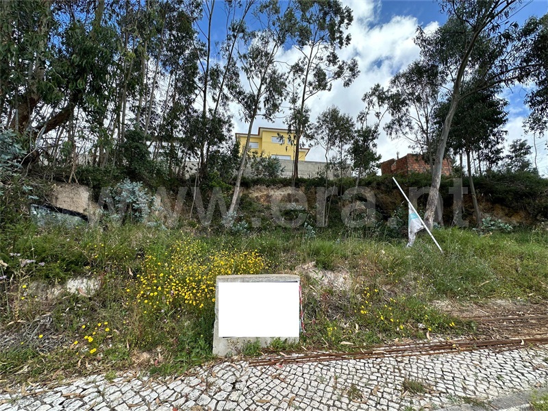Lote  Sintra, Almargem do Bispo, Pêro Pinheiro e Montelavar - 1403677 - 13