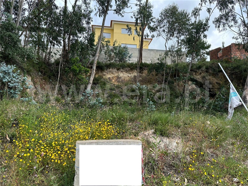 Lote  Sintra, Almargem do Bispo, Pêro Pinheiro e Montelavar - 1403677 - 14