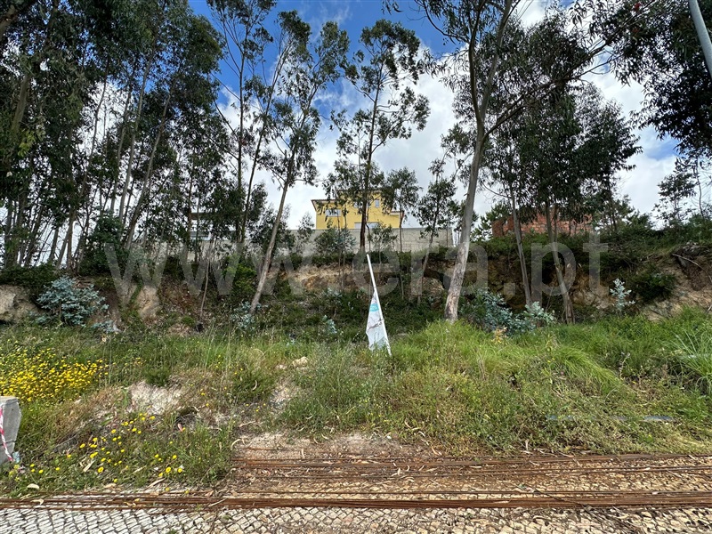 Lote  Sintra, Almargem do Bispo, Pêro Pinheiro e Montelavar - 1403677 - 15