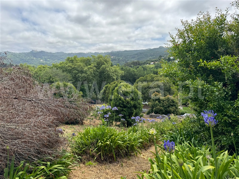Terreno para Construção / Sintra, Galamares