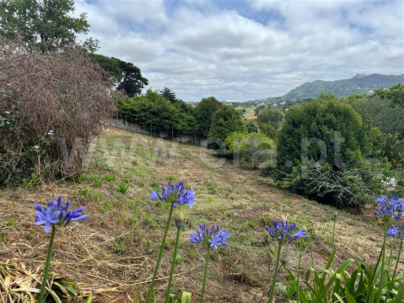 Terreno para Construção  com Urbano Sintra, Galamares - 1483622 - 3
