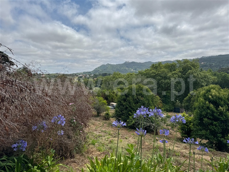 Terreno para Construção  com Urbano Sintra, Galamares - 1483622 - 4