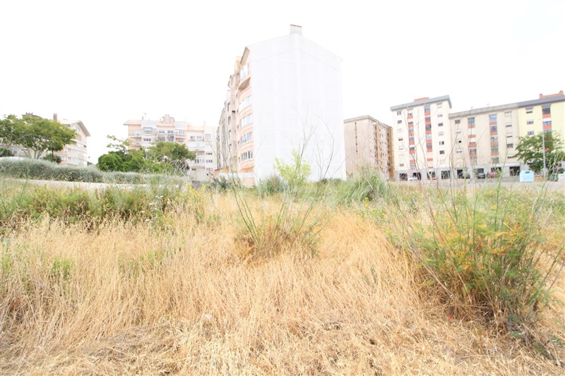 Terreno para Construção  Sintra, Quinta da Cavaleira - 1179097 - 2