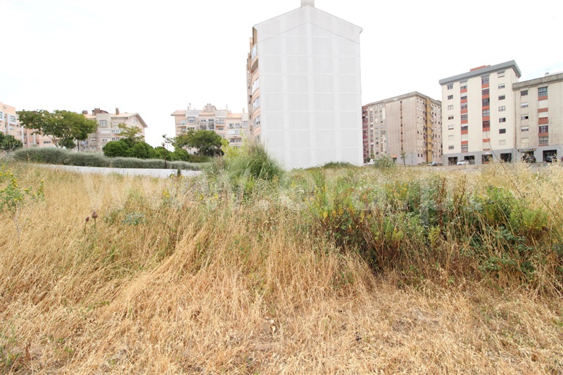 Terreno para Construção  Sintra, Quinta da Cavaleira - 1179097 - 1