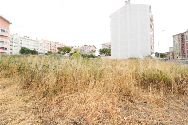Terreno para Construção  Sintra, Quinta da Cavaleira - 1179097 - 3