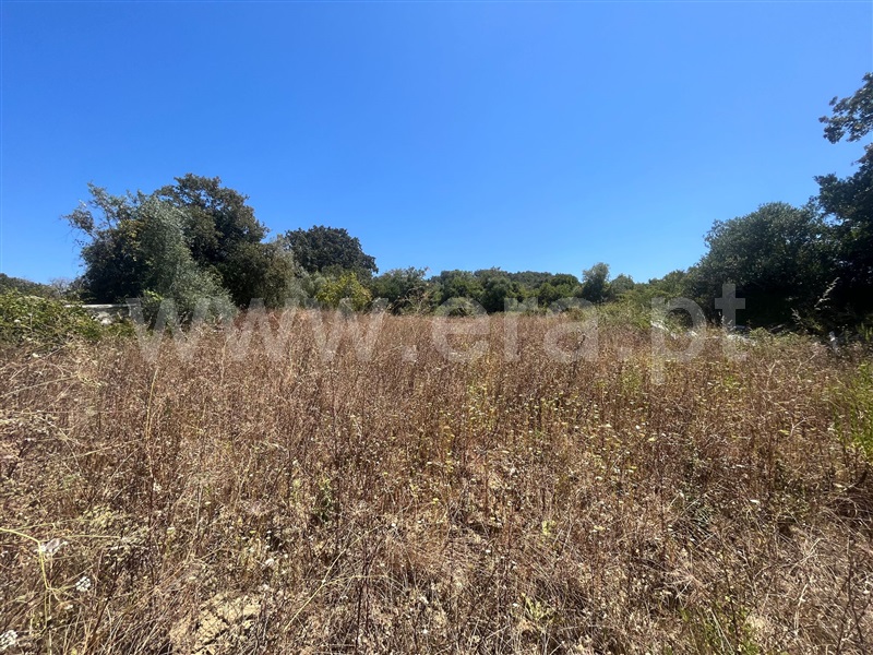 Terreno para Construção  Sobral de Monte Agraço, Santo Quintino - 1340470 - 5
