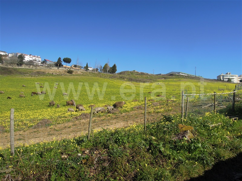 Terreno  Sobral de Monte Agraço - 1302511 - 5