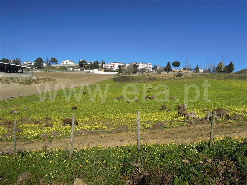Terreno  Sobral de Monte Agraço - 1302511 - 6