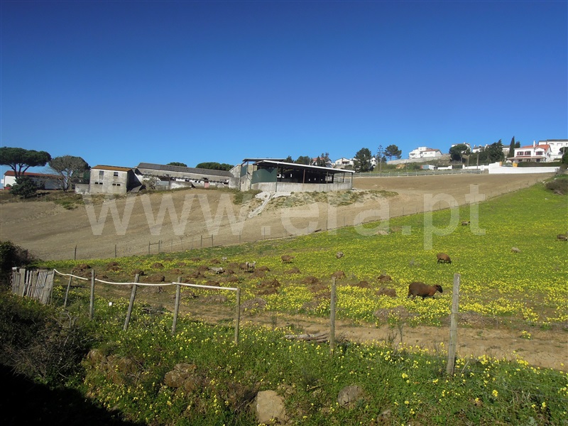 Terreno  Sobral de Monte Agraço - 1302511 - 7