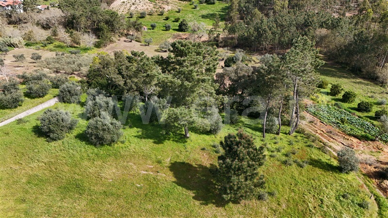 Terreno  Soure, Gesteira e Brunhós - 1390611 - 2