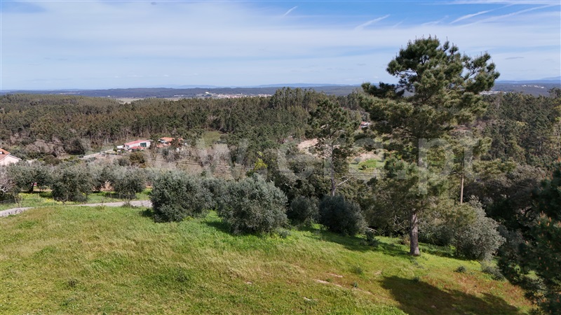 Terreno  Soure, Gesteira e Brunhós - 1390611 - 5