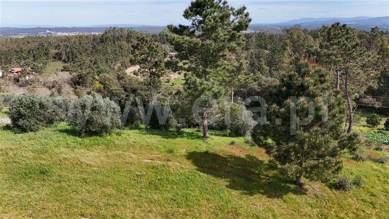 Terreno  Soure, Gesteira e Brunhós - 1390611 - 6