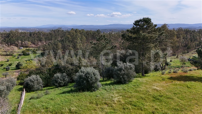 Terreno  Soure, Gesteira e Brunhós - 1390611 - 8