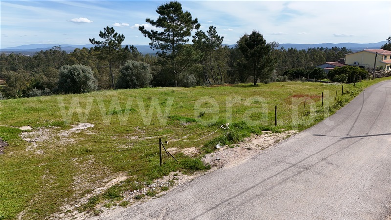 Terreno  Soure, Gesteira e Brunhós - 1390611 - 10