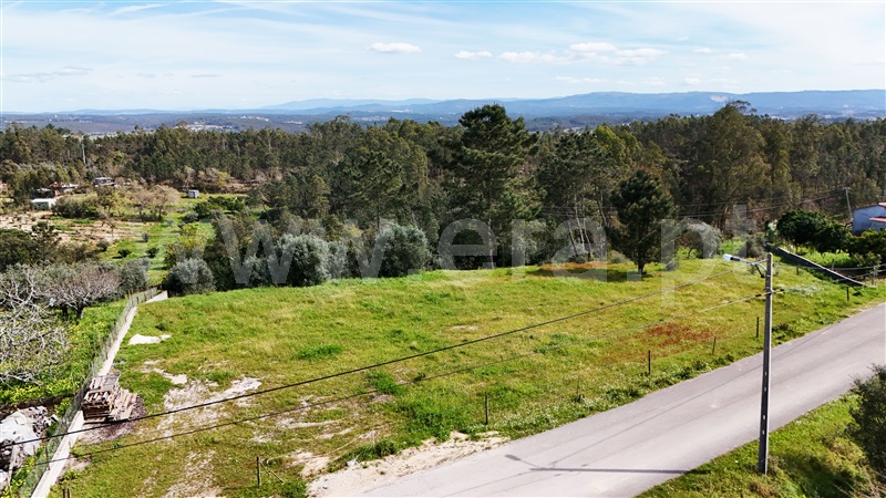 Terreno  Soure, Gesteira e Brunhós - 1390611 - 13