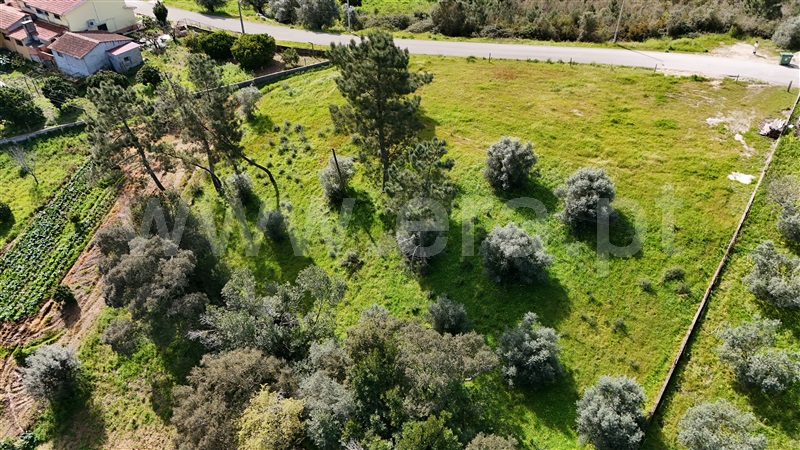 Terreno  Soure, Gesteira e Brunhós - 1390611 - 19
