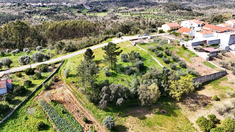 Terreno  Soure, Gesteira e Brunhós - 1390611 - 20