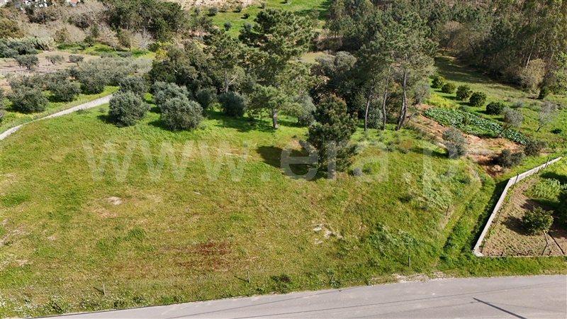 Terreno para Construção / Soure, Gesteira e Brunhós