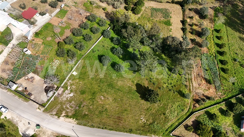 Terreno  Soure, Gesteira e Brunhós - 1390615 - 3